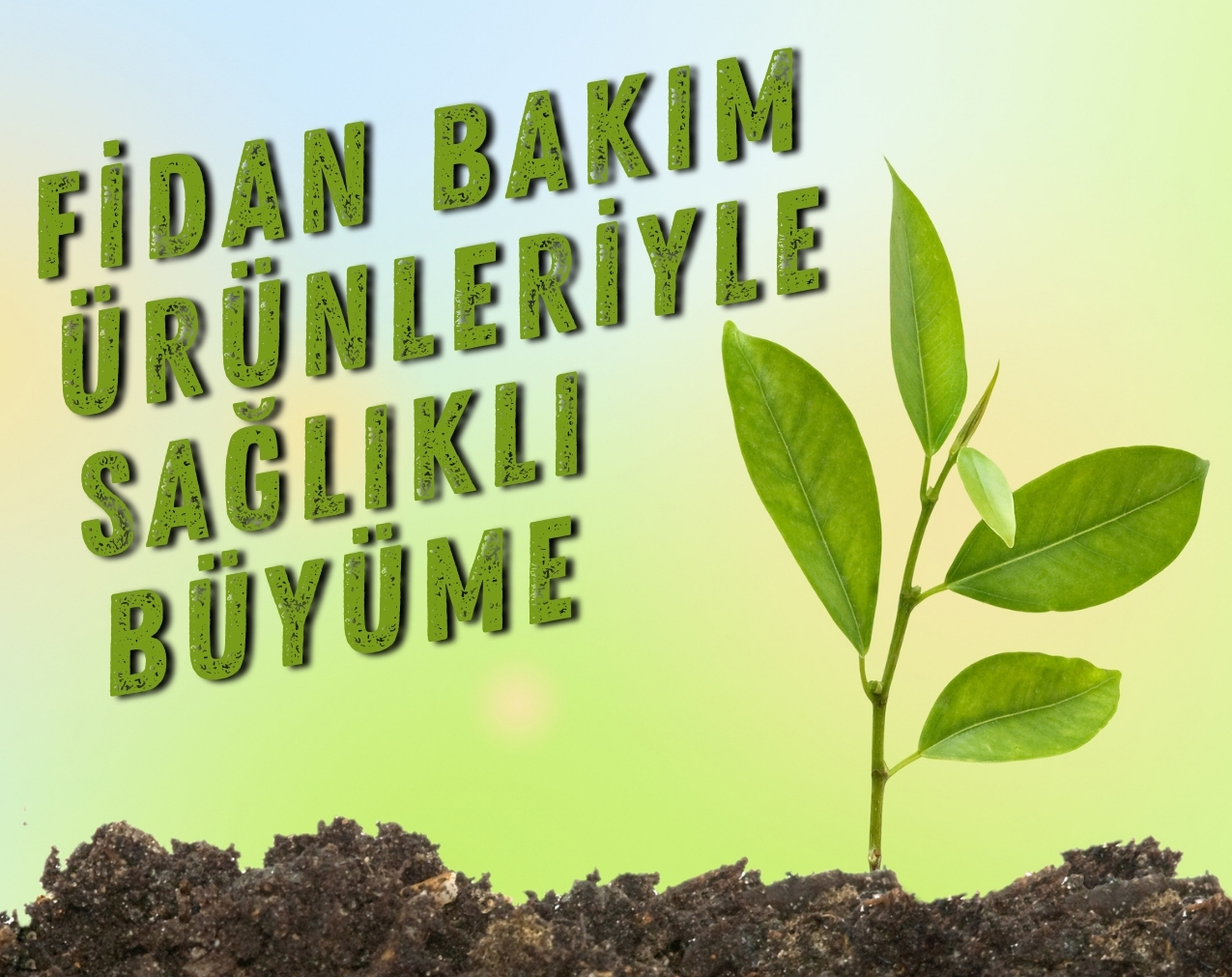Kampanya adı 2323